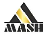 My Website